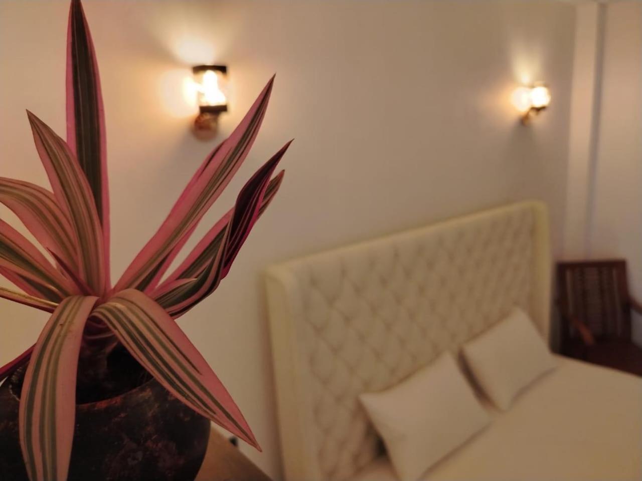 Diora Hotel Ratnapura Exteriér fotografie